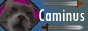 Caminus